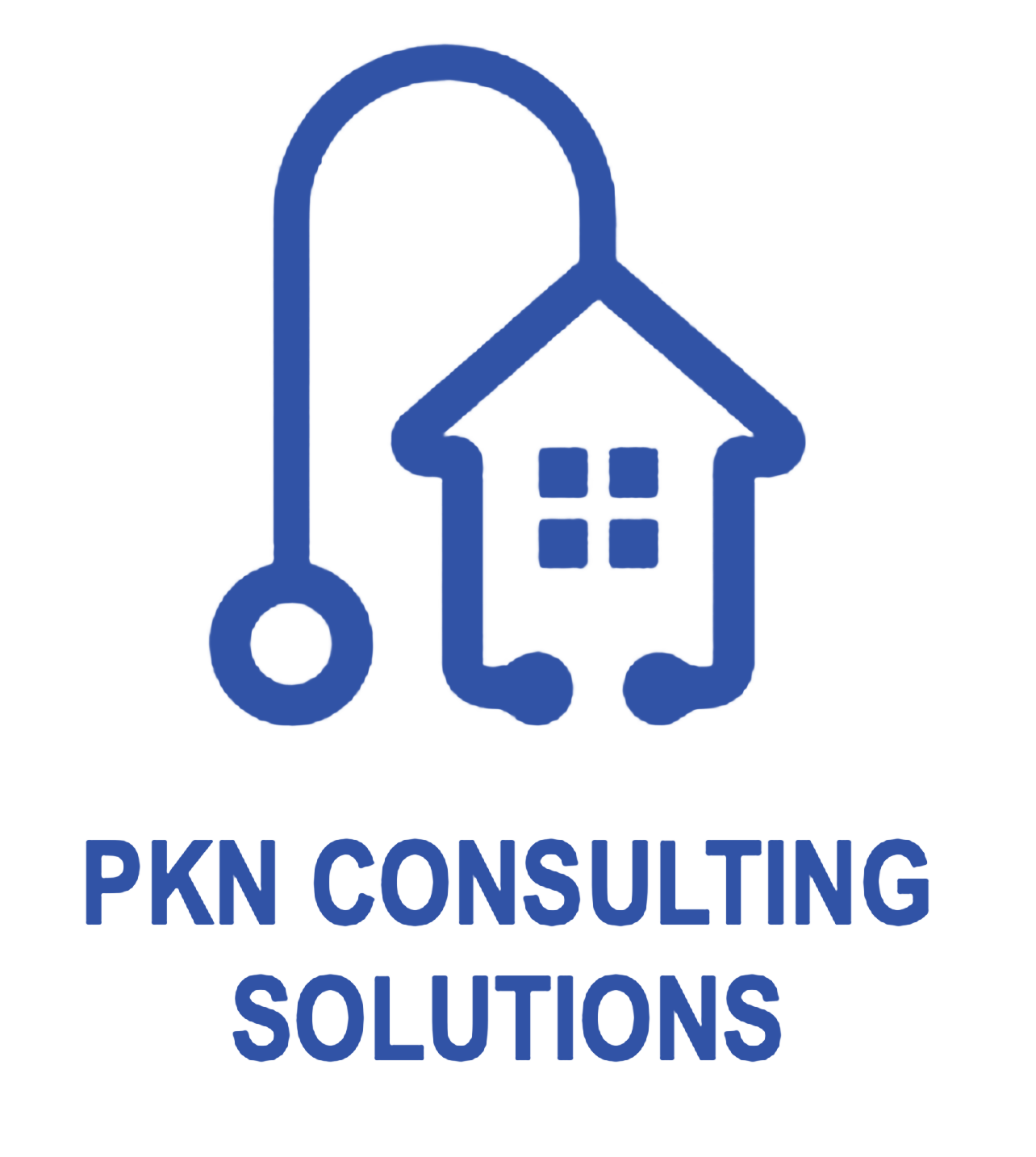 PKN Consulting Solutions logo