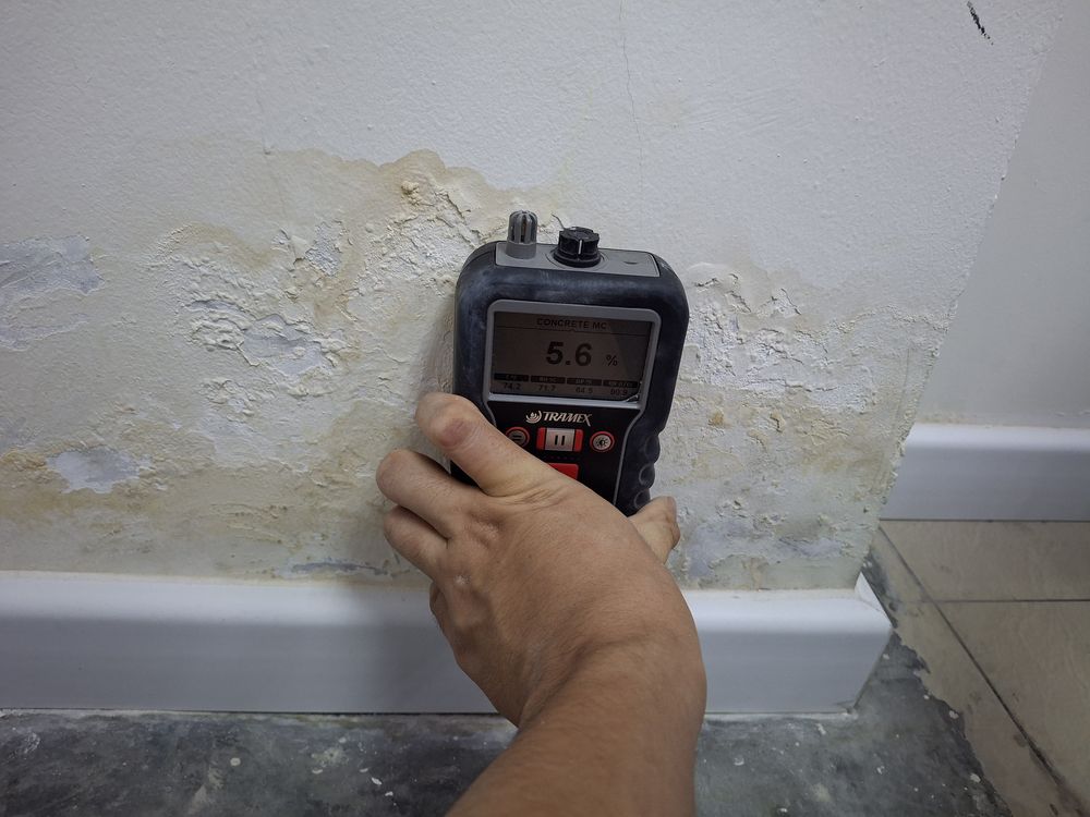 Moisture meter reading on a water-damaged wall